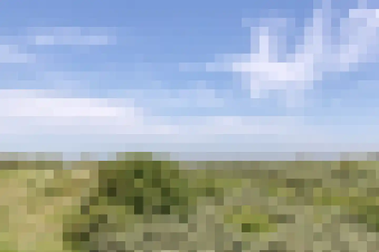Boulevard de Wielingen 94 008 Cadzand thumbnail 6