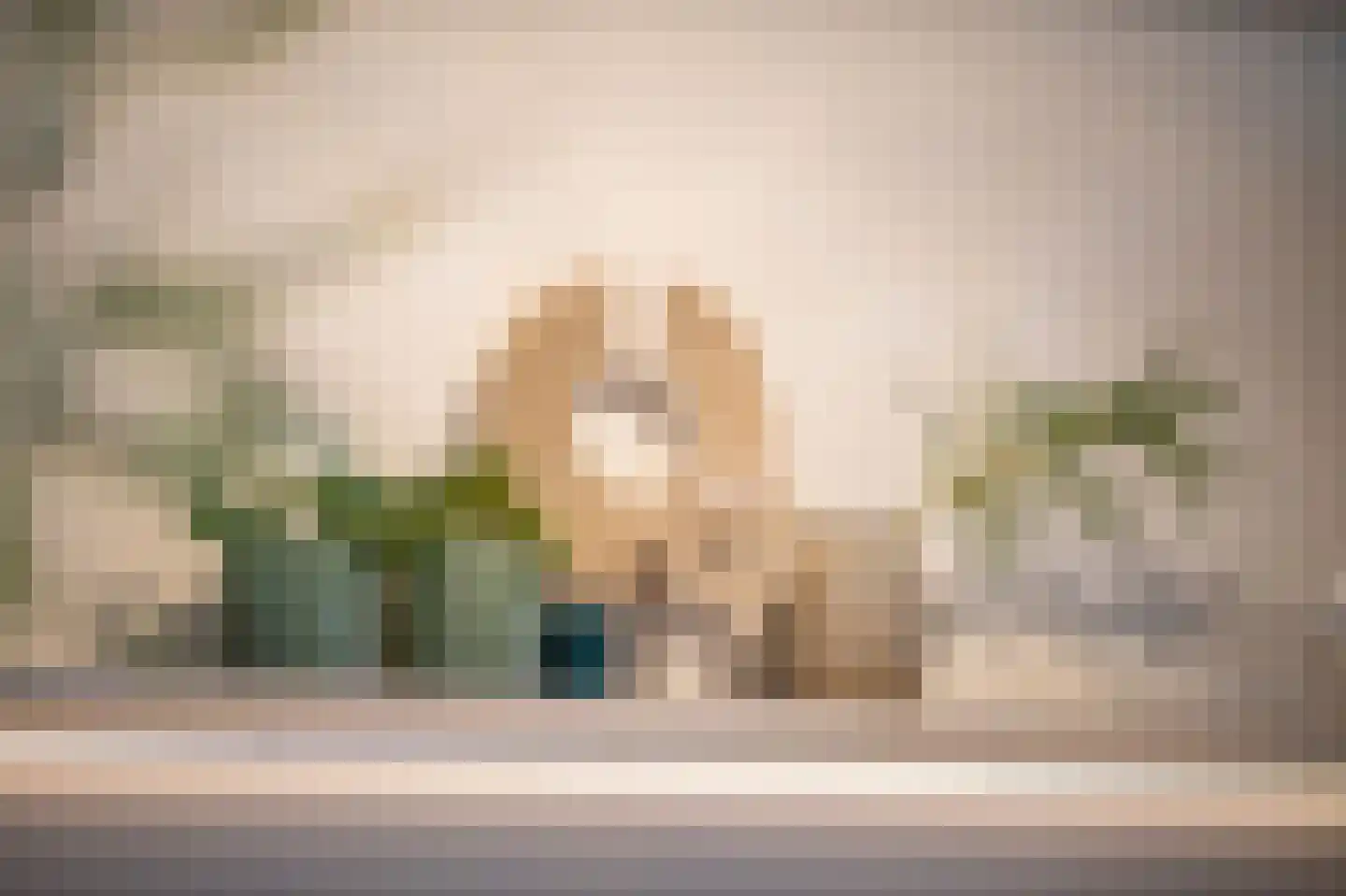 Boulevard de Wielingen 99 303 Cadzand thumbnail 23