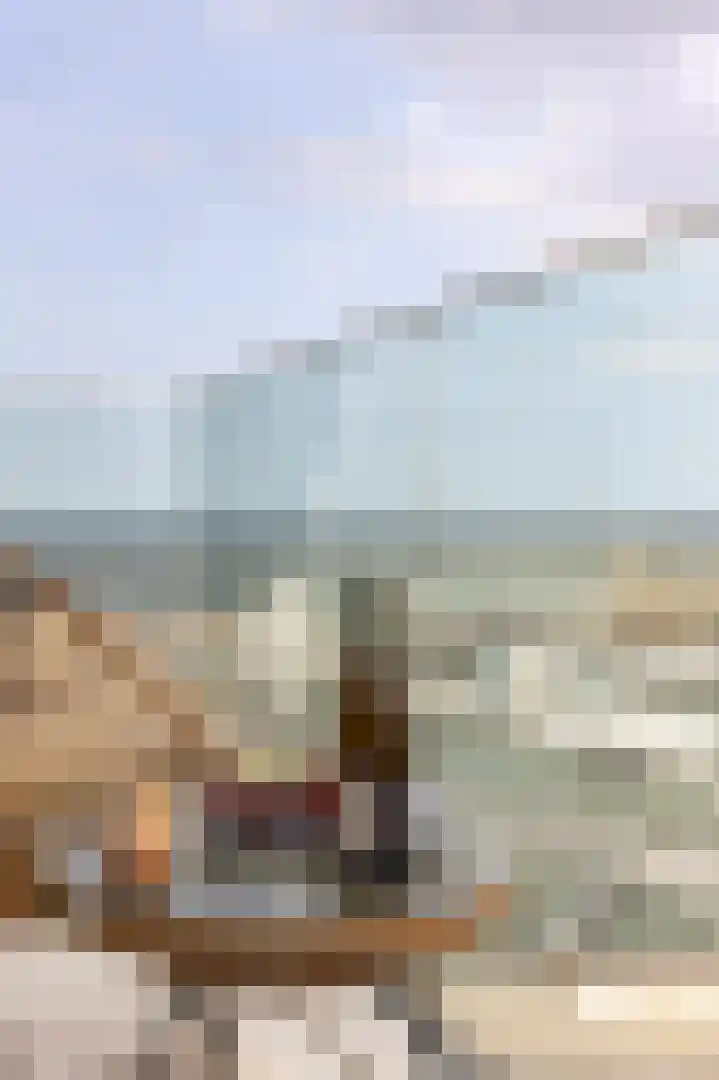 Boulevard de Wielingen 99 502 Cadzand thumbnail 13