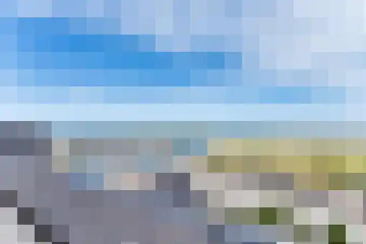 Boulevard de Wielingen 99 601 Cadzand thumbnail 21