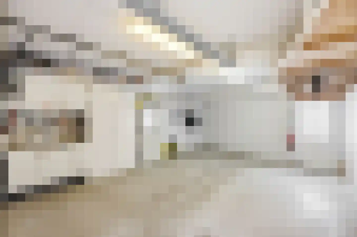 Boulevard Evertsen 18 Vlissingen thumbnail 73
