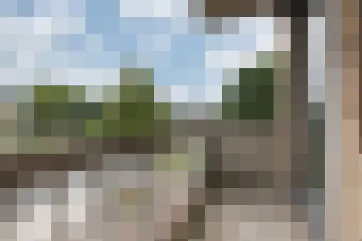 Boulevard Heuvelink 1 19 Arnhem thumbnail 15