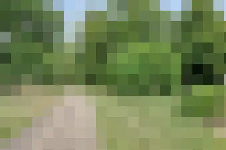 Boulevard Heuvelink 1 19 Arnhem thumbnail 18