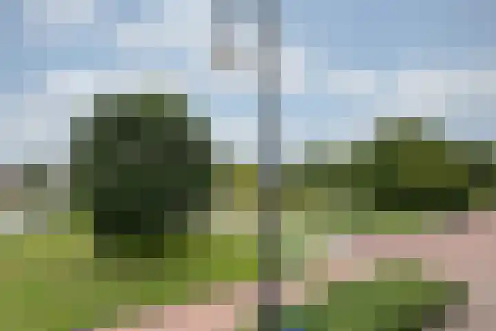 Boulevard Heuvelink 1 19 Arnhem thumbnail 18