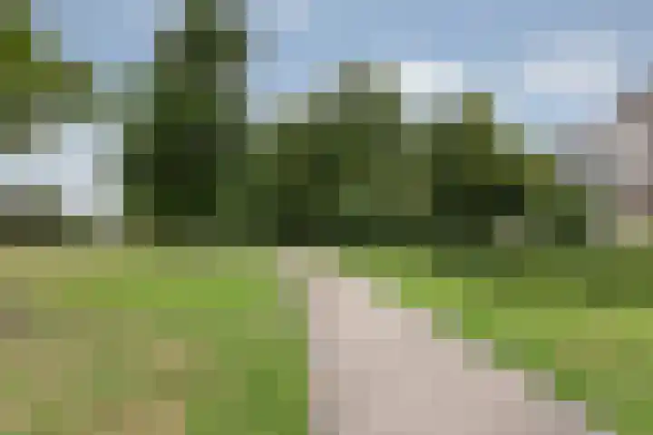 Boulevard Heuvelink 1 19 Arnhem thumbnail 28