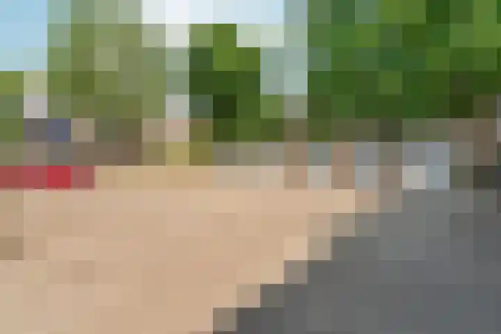 Boulevard Heuvelink 114 11 Arnhem thumbnail 25