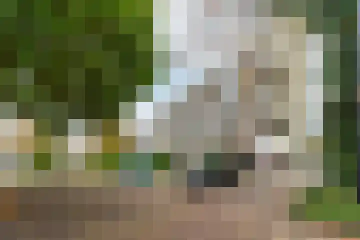 Boulevard Heuvelink 114 11 Arnhem thumbnail 28