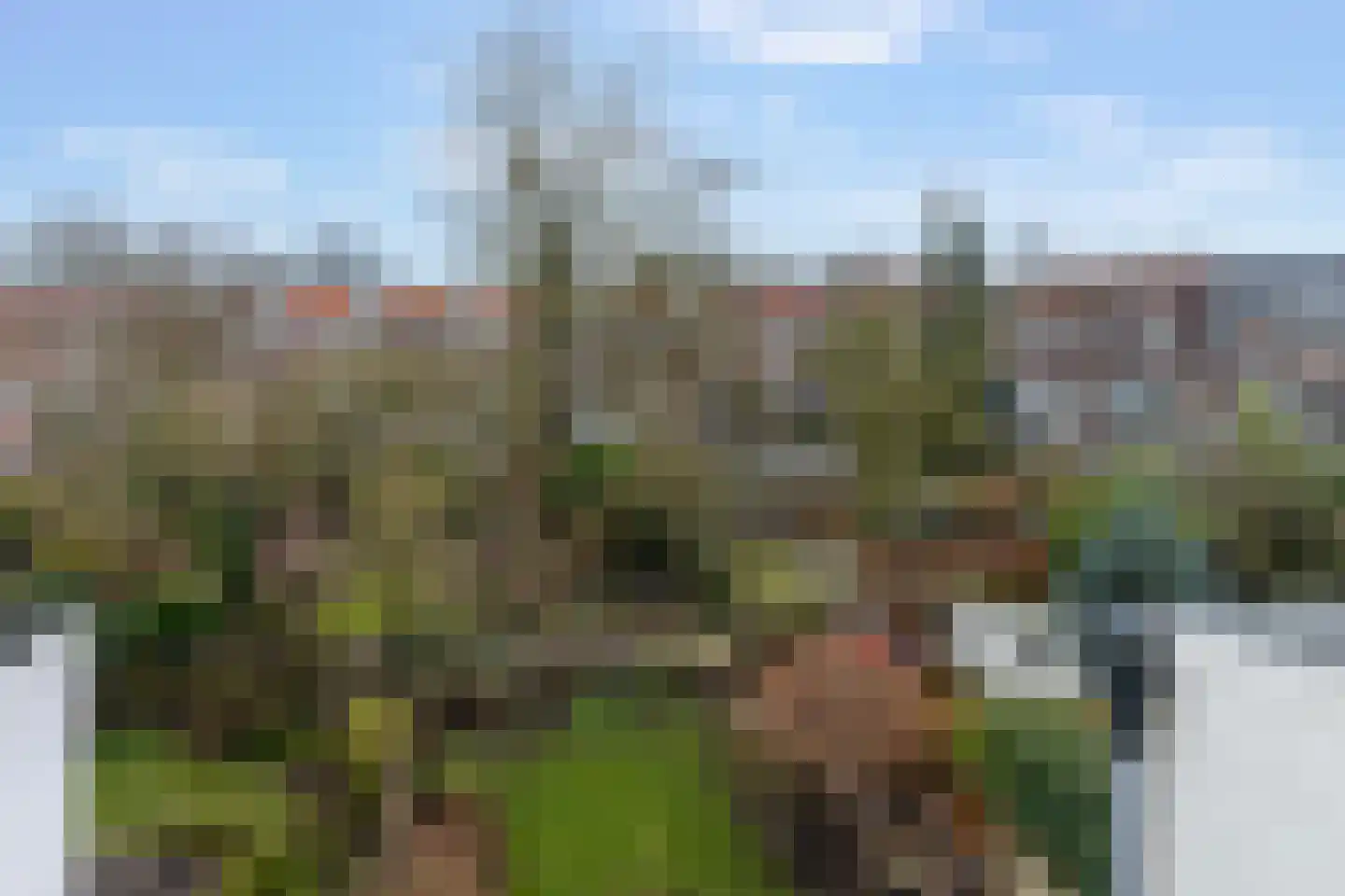 Boulevard Heuvelink 140 1 Arnhem thumbnail 4