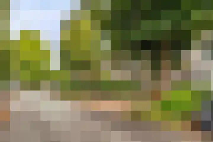 Boulevard Heuvelink 142 Arnhem thumbnail 7