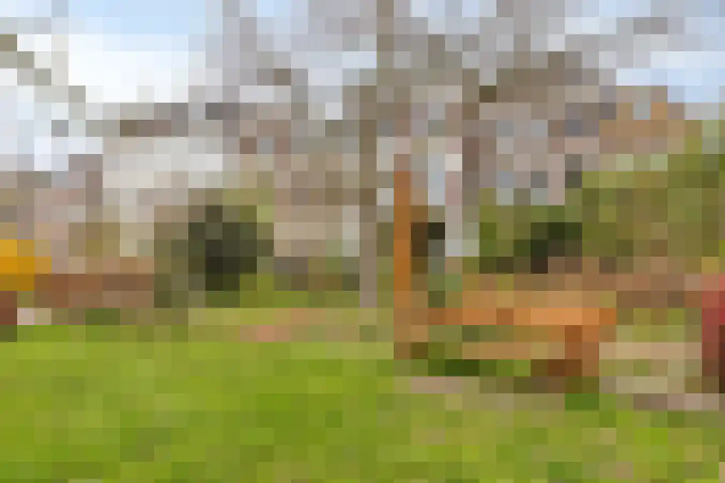 Boulevard Heuvelink 150 Arnhem thumbnail 44
