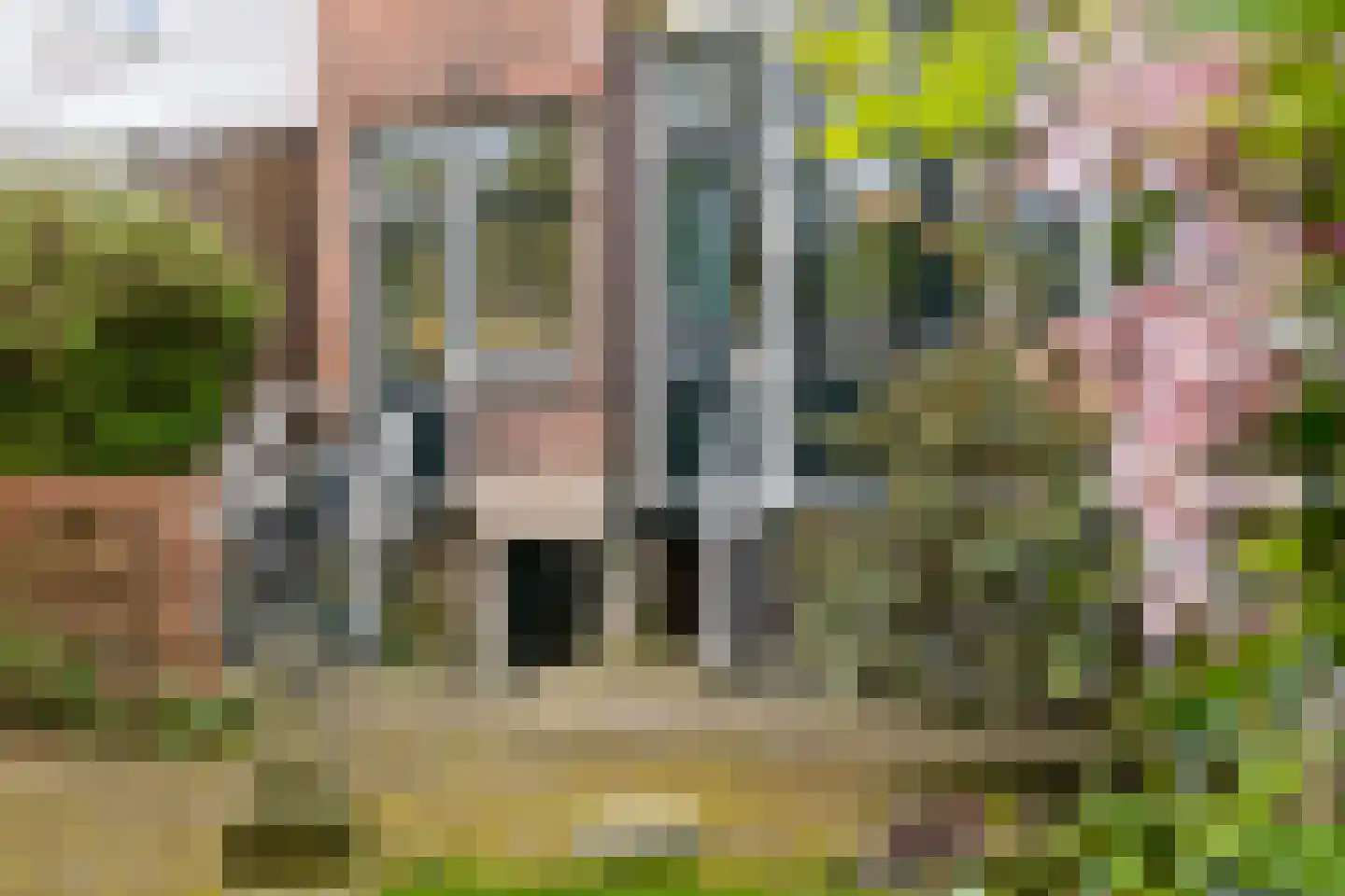 Boulevard Heuvelink 173 Arnhem thumbnail 45