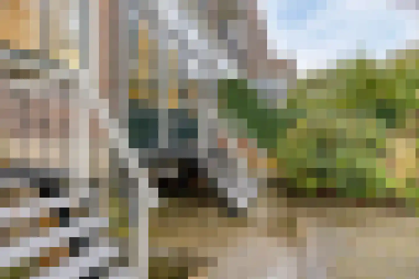 Boulevard Heuvelink 173 Arnhem thumbnail 45