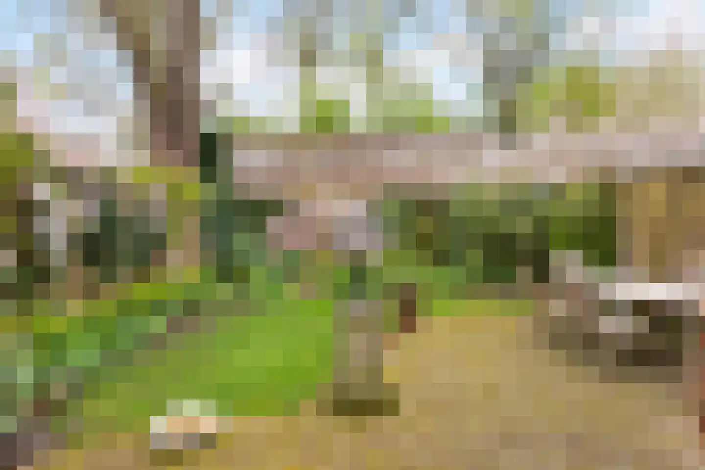 Boulevard Heuvelink 173 Arnhem thumbnail 46