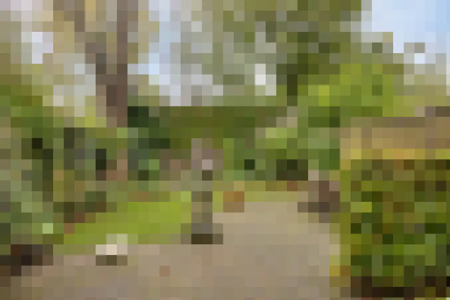 Boulevard Heuvelink 173 Arnhem thumbnail 46