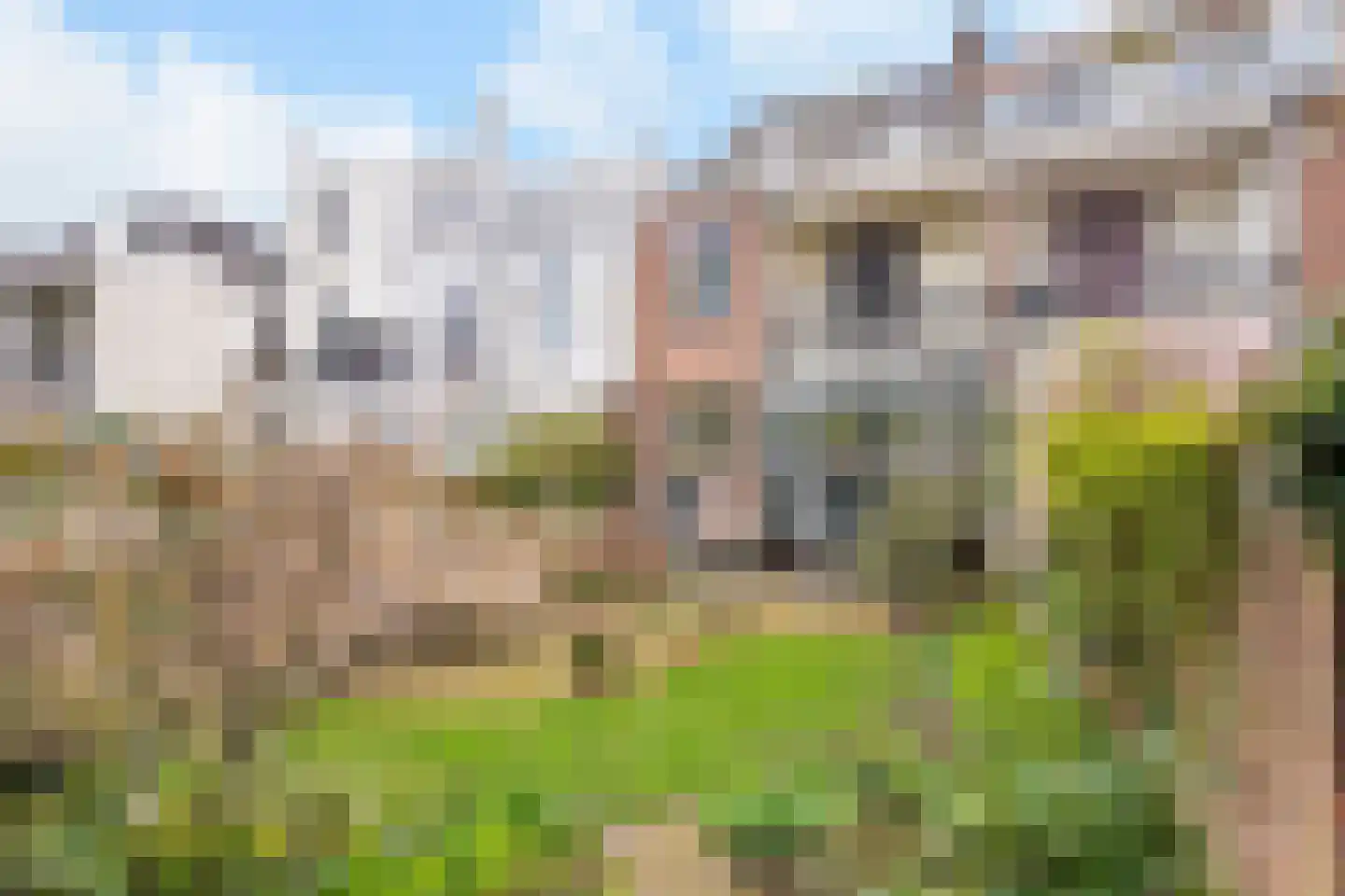 Boulevard Heuvelink 173 Arnhem thumbnail 48