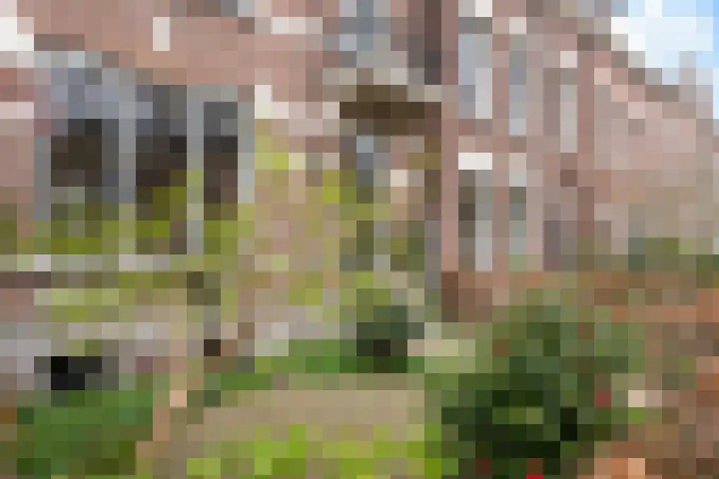 Boulevard Heuvelink 173 Arnhem thumbnail 5