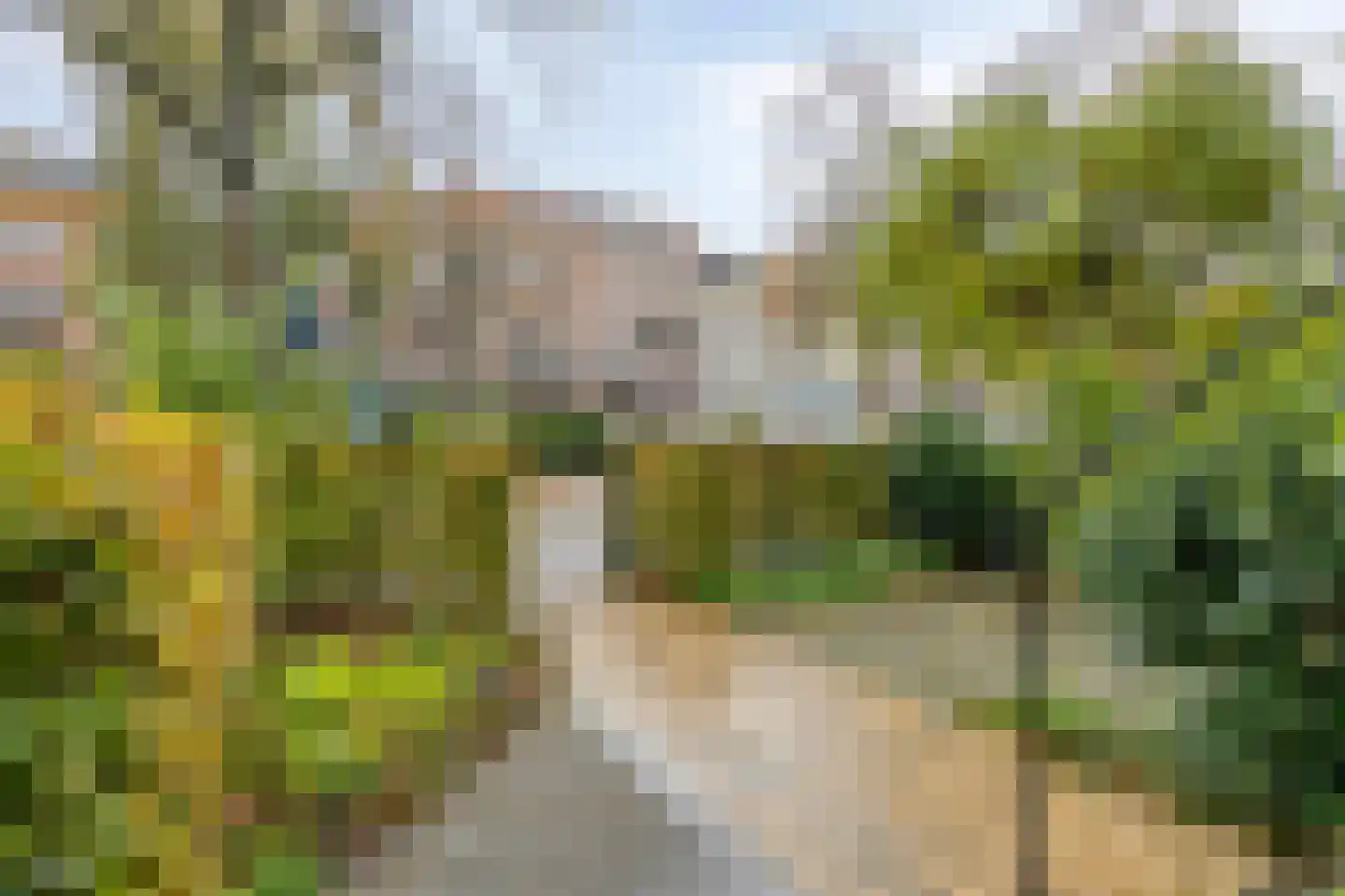 Boulevard Heuvelink 173 Arnhem thumbnail 5