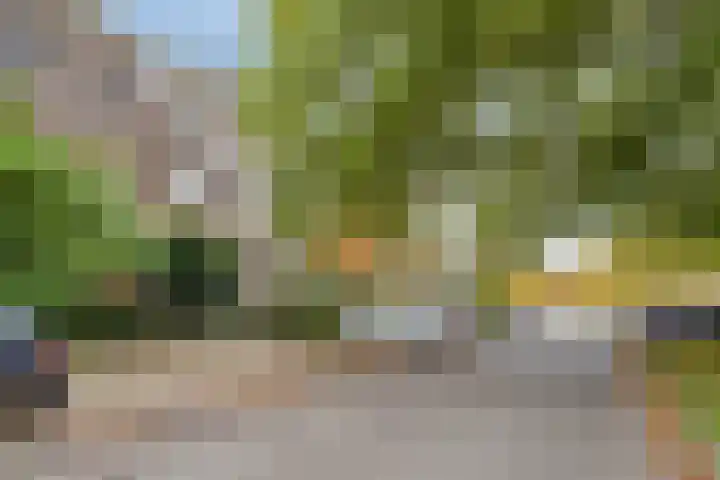 Boulevard Heuvelink 176 Arnhem thumbnail 48