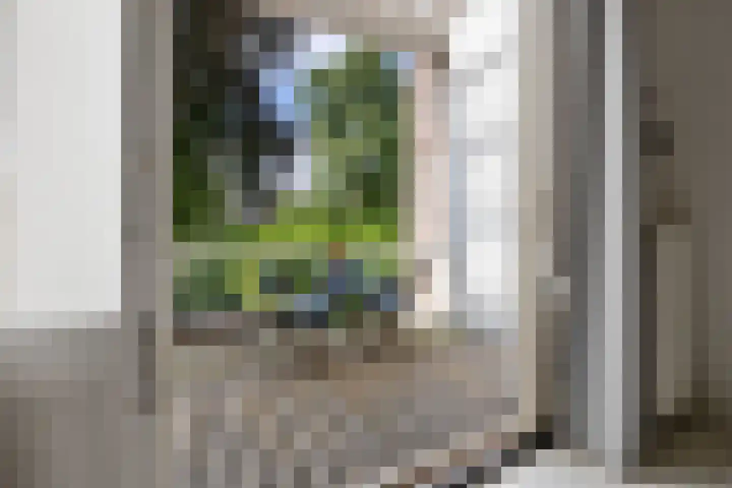 Boulevard Heuvelink 189 Arnhem thumbnail 28