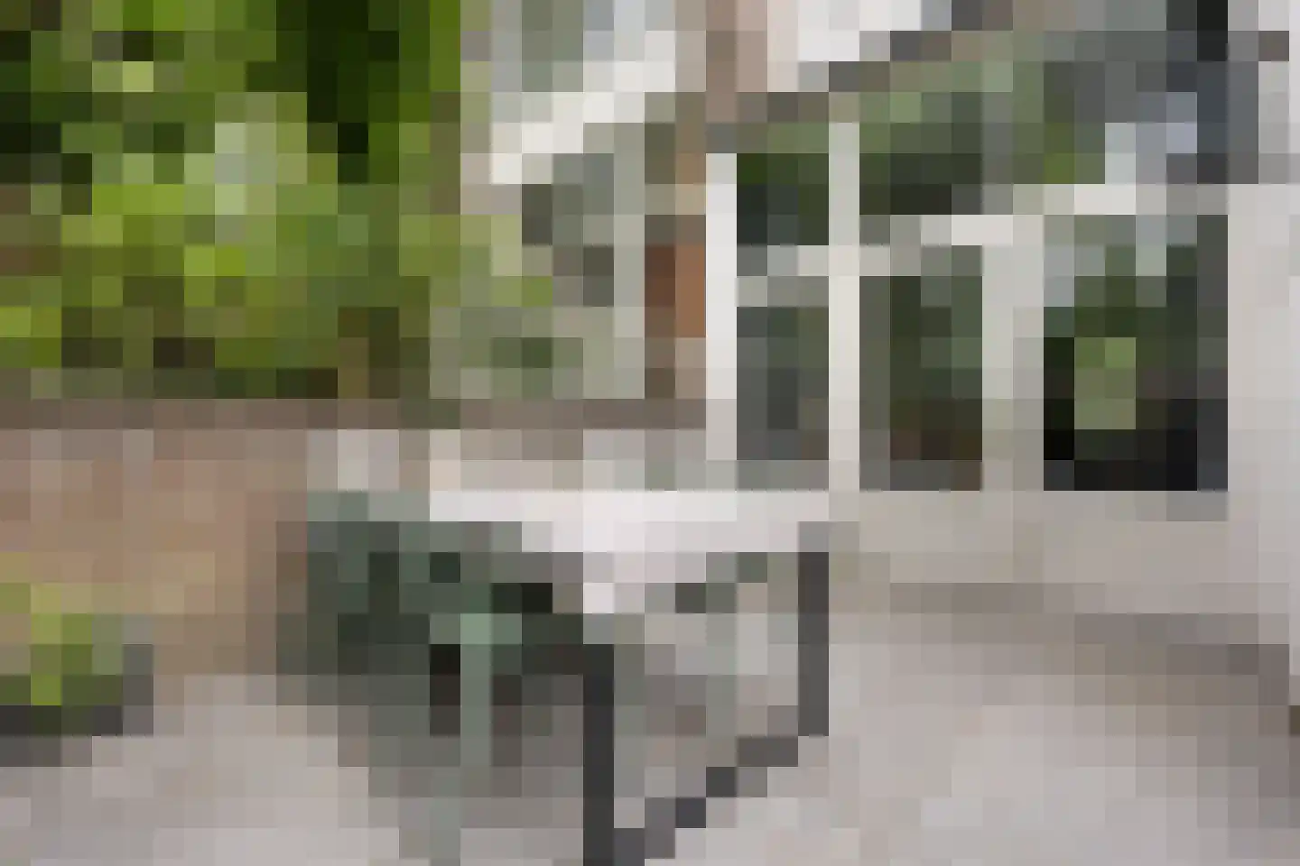 Boulevard Heuvelink 189 Arnhem thumbnail 55