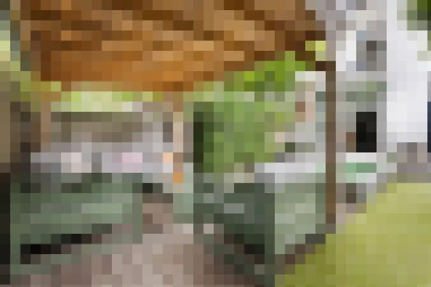 Boulevard Heuvelink 189 Arnhem thumbnail 57