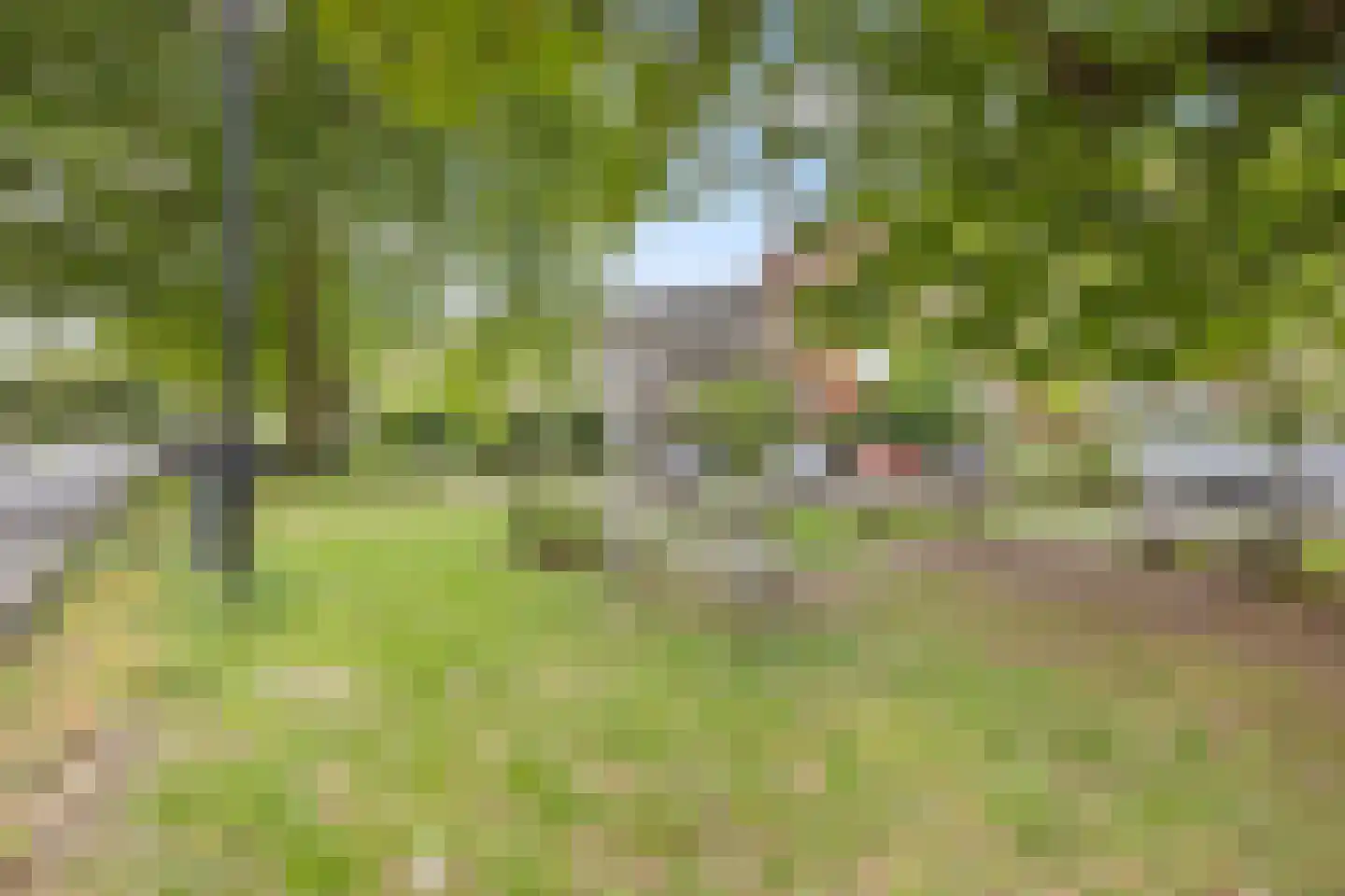 Boulevard Heuvelink 189 Arnhem thumbnail 61