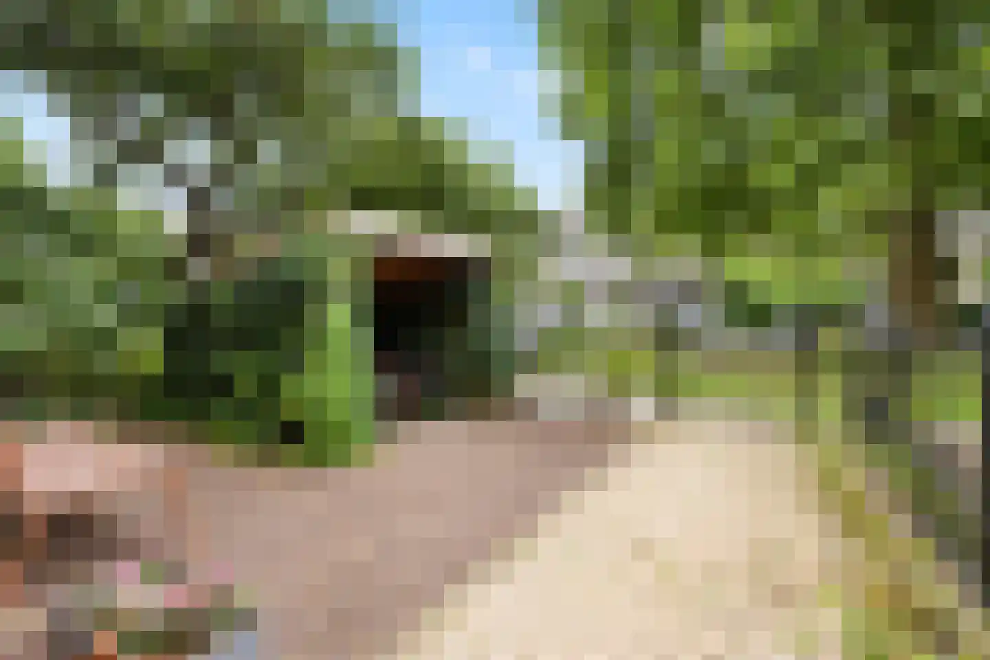 Boulevard Heuvelink 189 Arnhem thumbnail 7