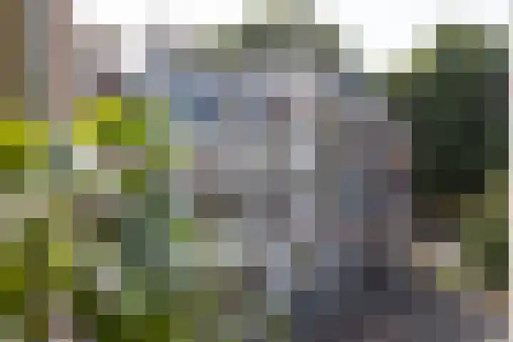 Boulevard Heuvelink 203 2 Arnhem thumbnail 19