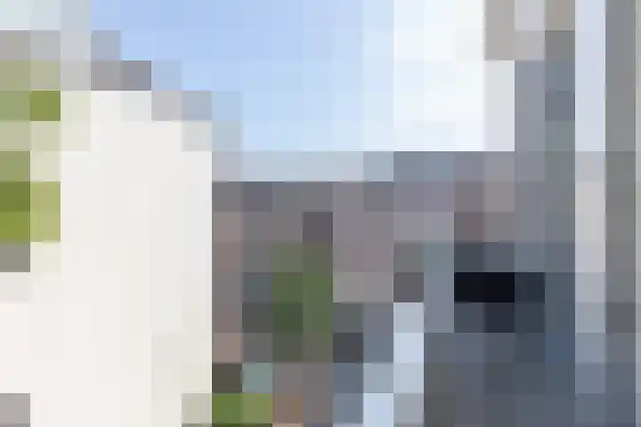 Boulevard Heuvelink 203 2 Arnhem thumbnail 31