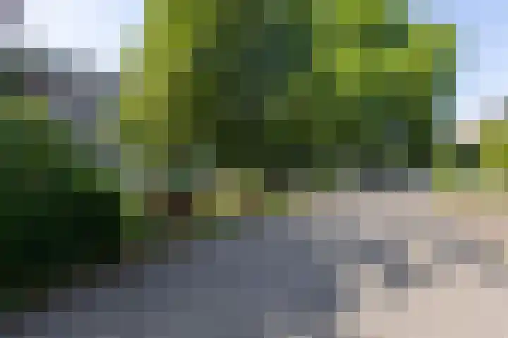 Boulevard Heuvelink 203 2 Arnhem thumbnail 34