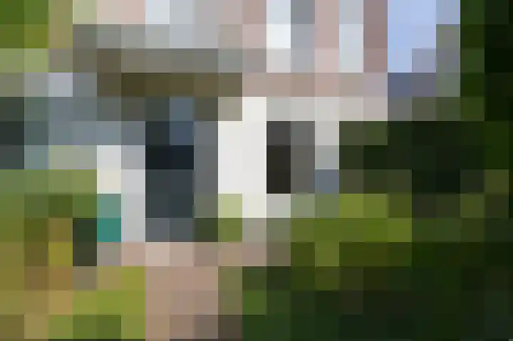 Boulevard Heuvelink 203 2 Arnhem thumbnail 8