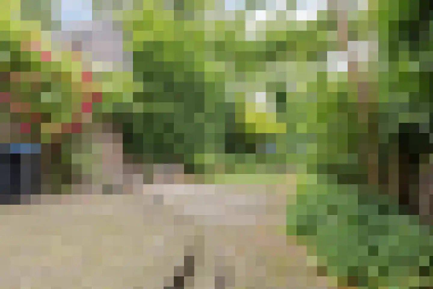 Boulevard Heuvelink 36 Arnhem thumbnail 41