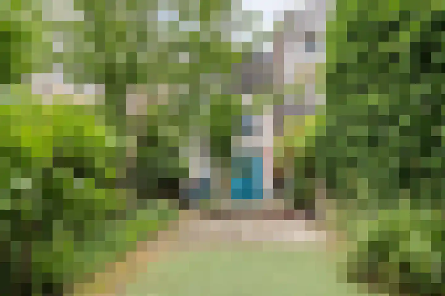Boulevard Heuvelink 36 Arnhem thumbnail 43