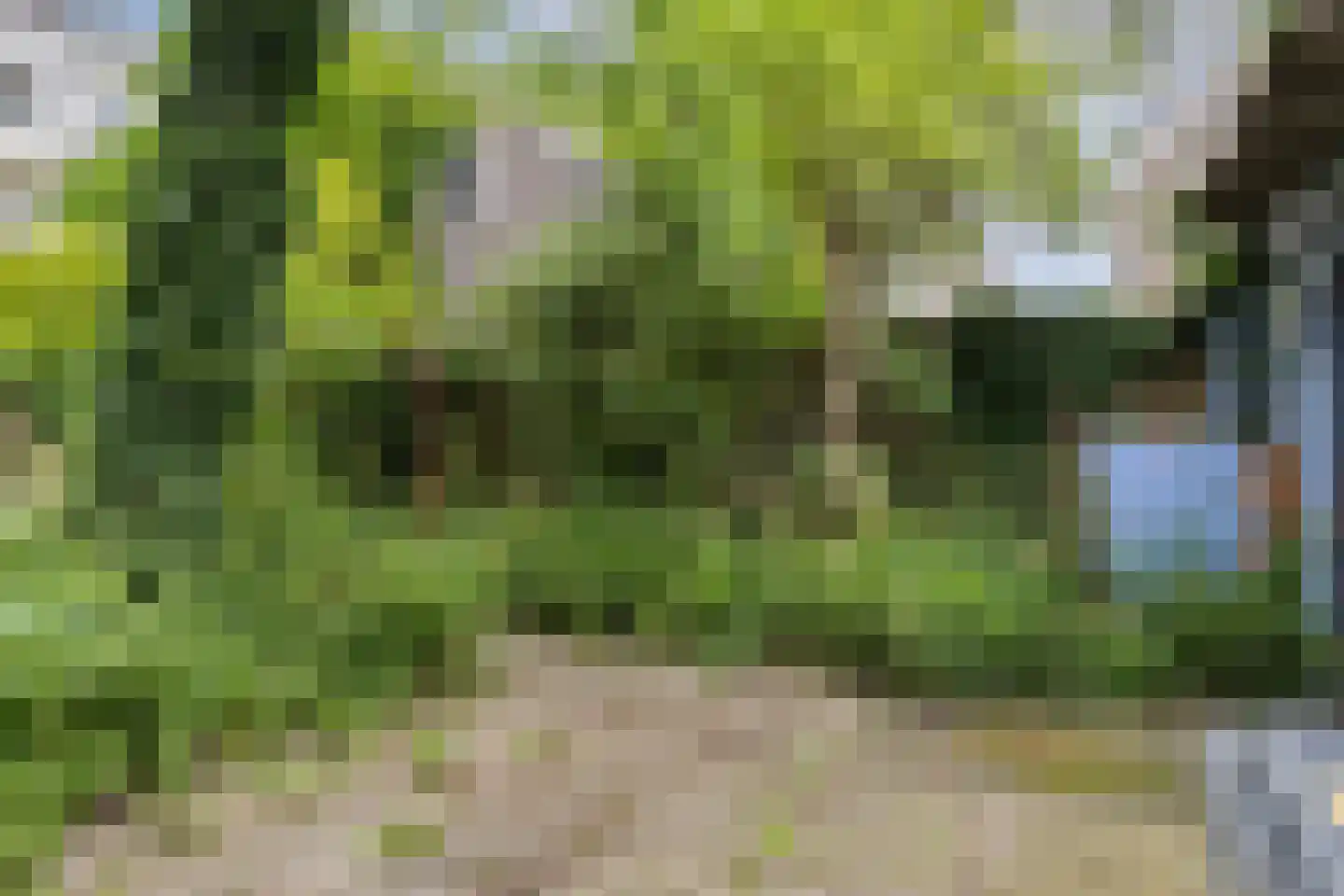 Boulevard Heuvelink 36 Arnhem thumbnail 46