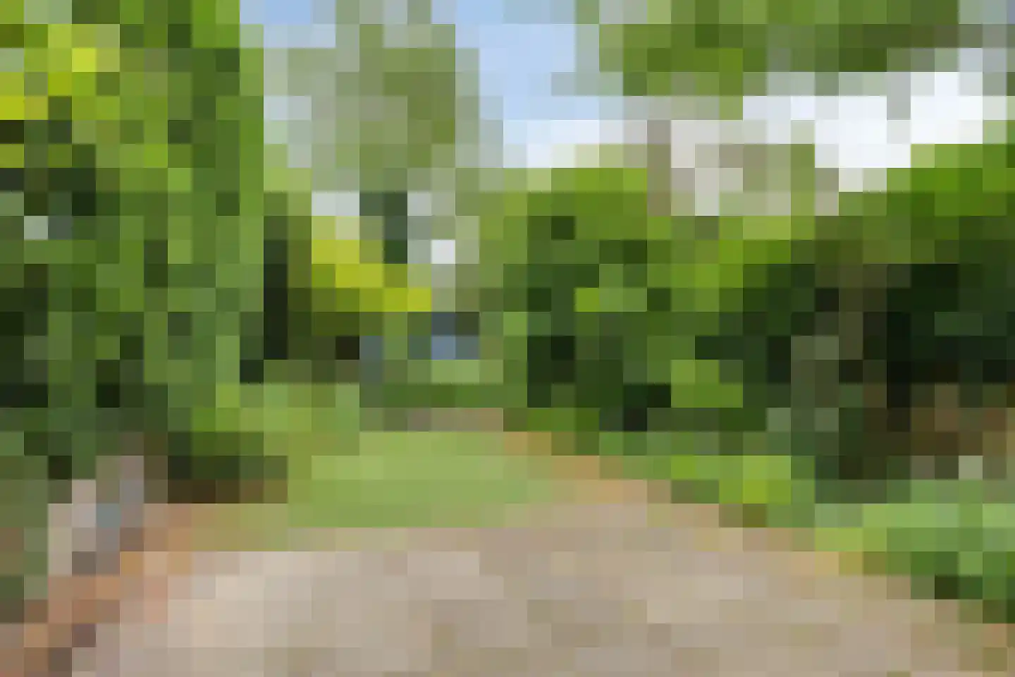 Boulevard Heuvelink 36 Arnhem thumbnail 49