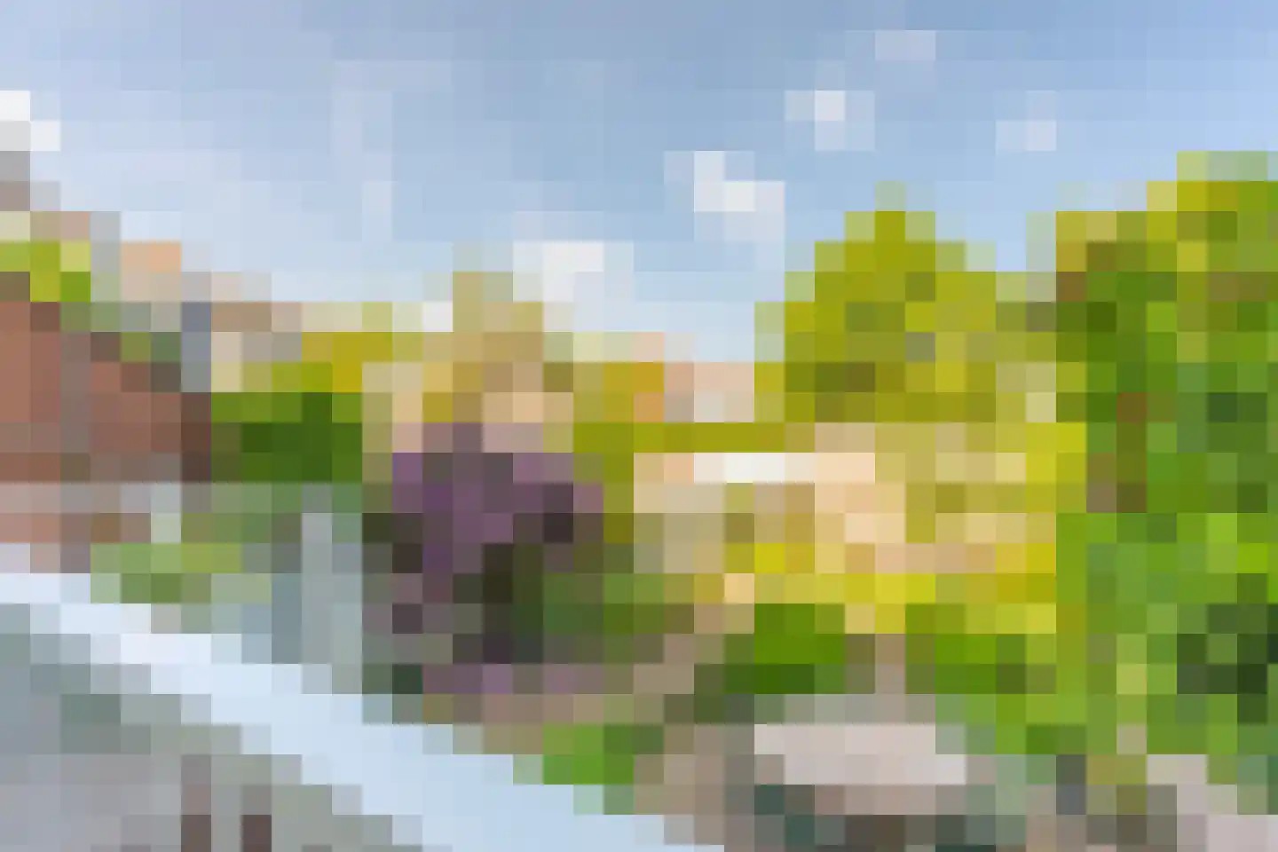Boulevard Heuvelink 75 Arnhem thumbnail 25