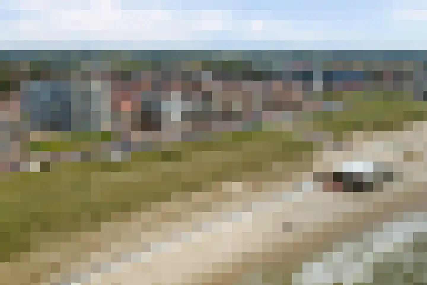 Boulevard Ir de Vassy 121 Egmond aan Zee thumbnail 28