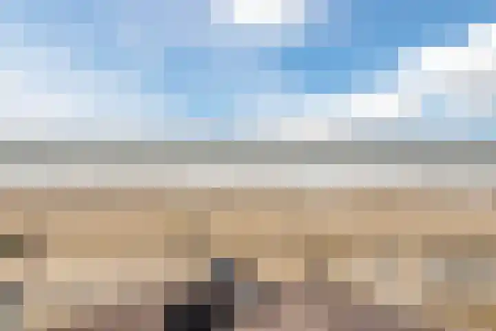 Boulevard Ir de Vassy 15 D Egmond aan Zee thumbnail 55