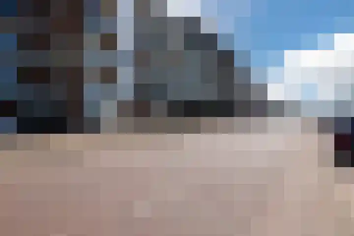 Boulevard Ir de Vassy 153 Egmond aan Zee thumbnail 42