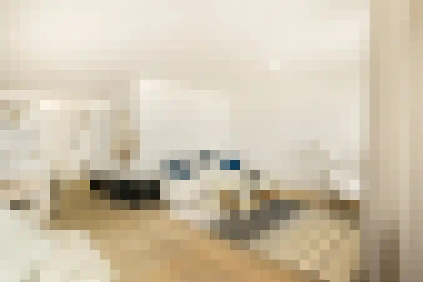 Boulevard Ir de Vassy 171 Egmond aan Zee thumbnail 12
