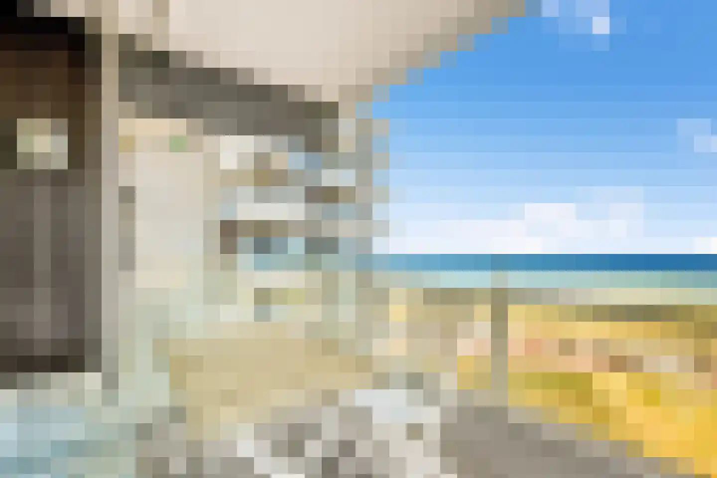 Boulevard Ir de Vassy 171 Egmond aan Zee thumbnail 16