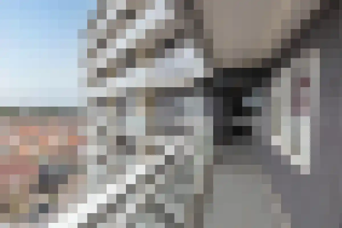 Boulevard Ir de Vassy 191 Egmond aan Zee thumbnail 22