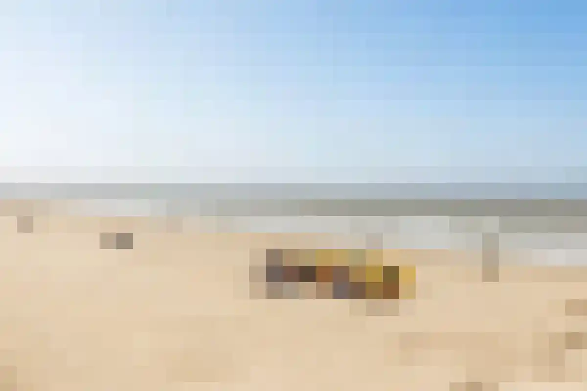 Boulevard Ir de Vassy 191 Egmond aan Zee thumbnail 37