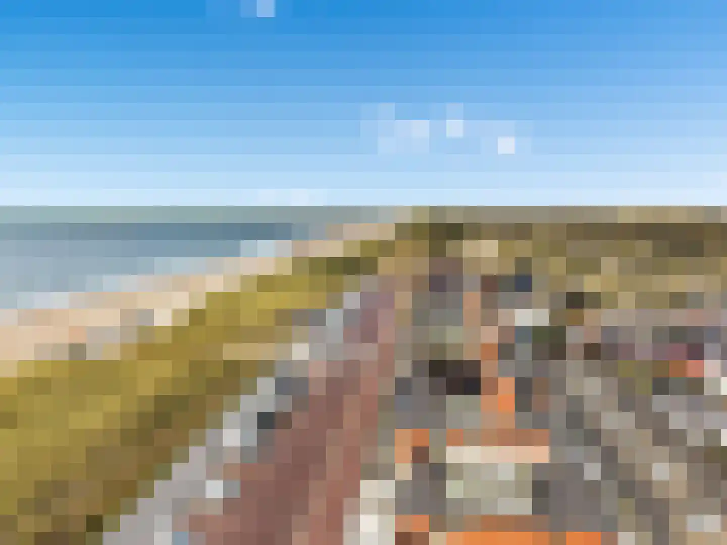 Boulevard Ir de Vassy 193 Egmond aan Zee thumbnail 29