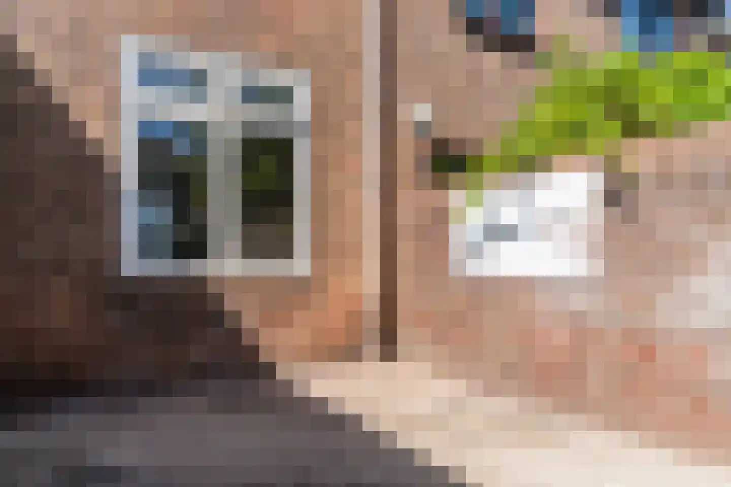 Boulevard Ir de Vassy 48 Egmond aan Zee thumbnail 47
