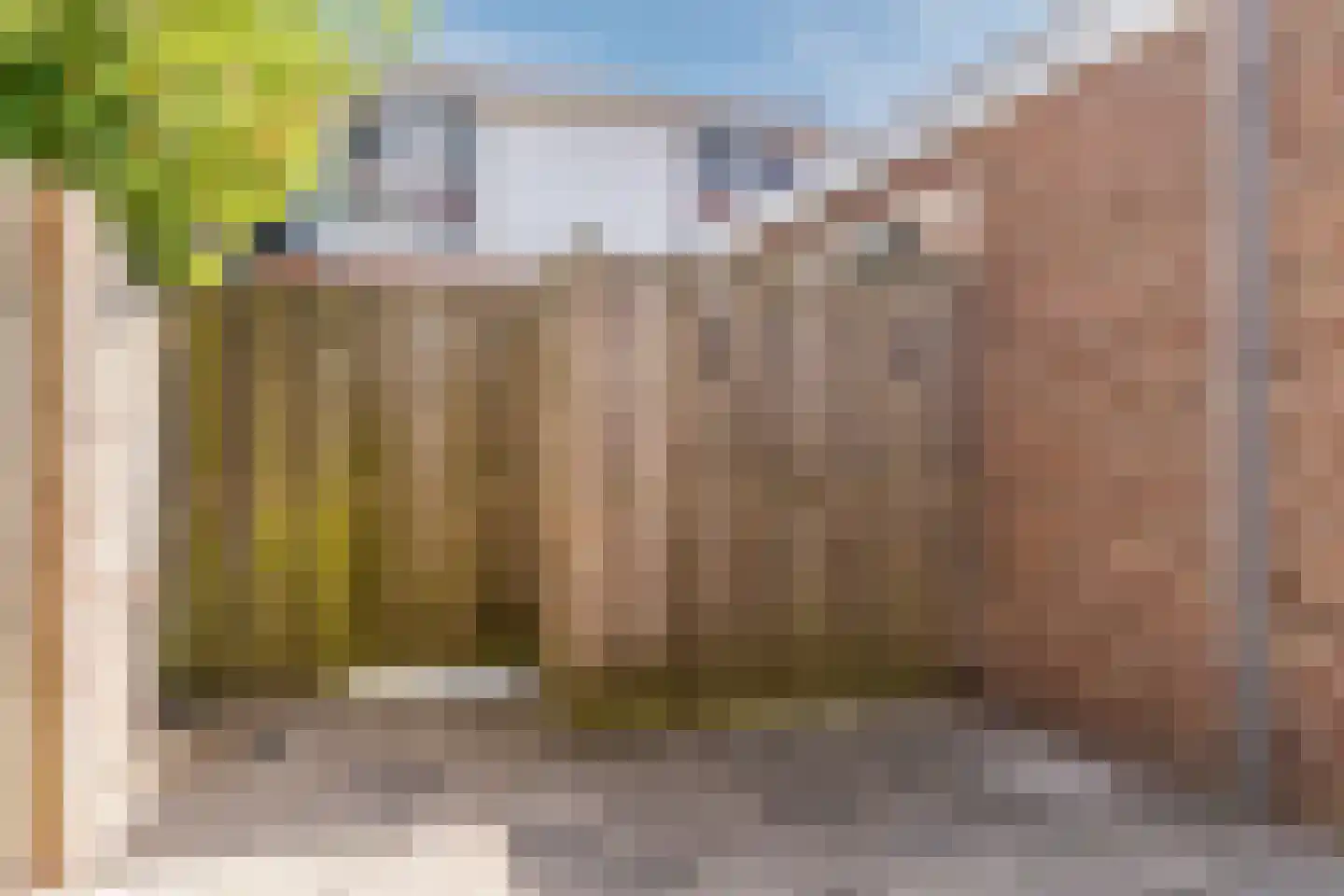 Boulevard Ir de Vassy 48 Egmond aan Zee thumbnail 49