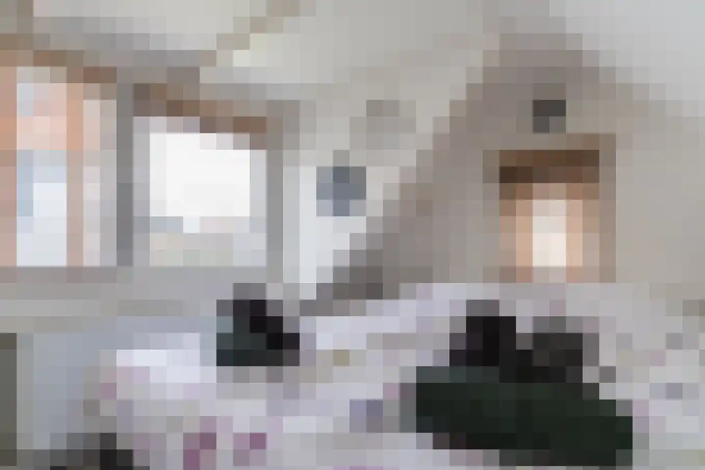 Boulevard Ir de Vassy 56 Egmond aan Zee thumbnail 93