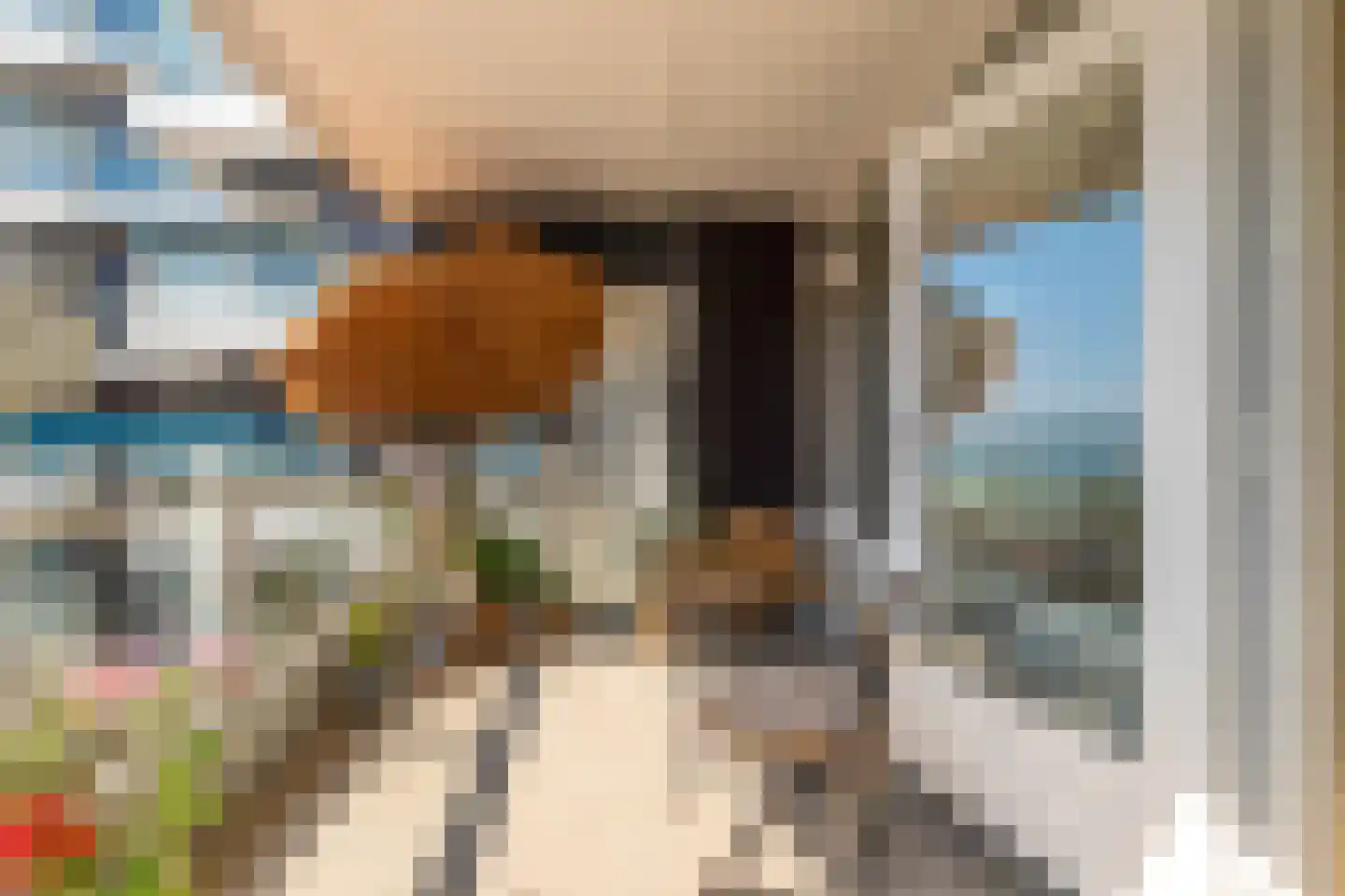 Boulevard Ir de Vassy 79 Egmond aan Zee thumbnail 21