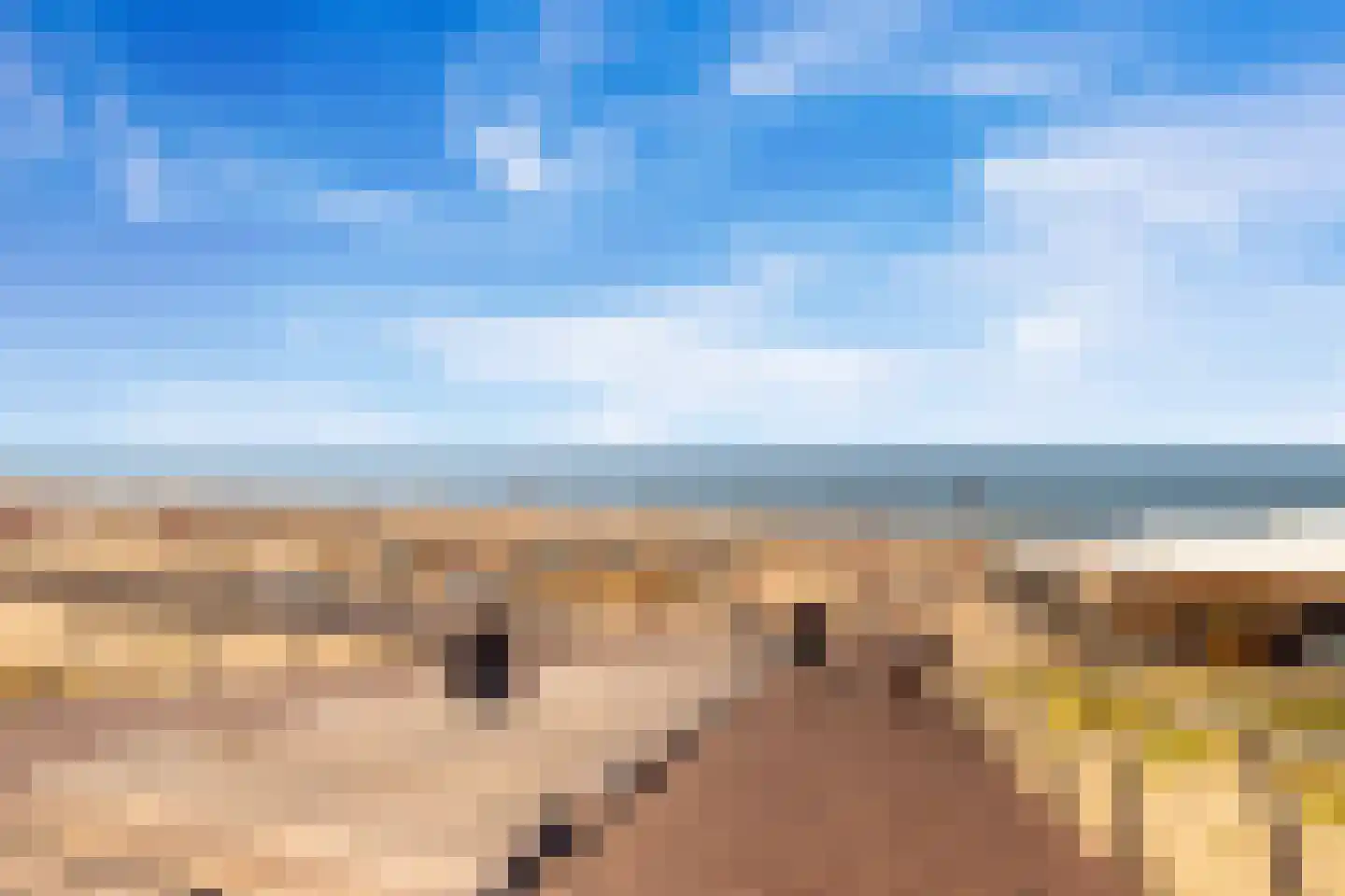 Boulevard Ir de Vassy 79 Egmond aan Zee thumbnail 39
