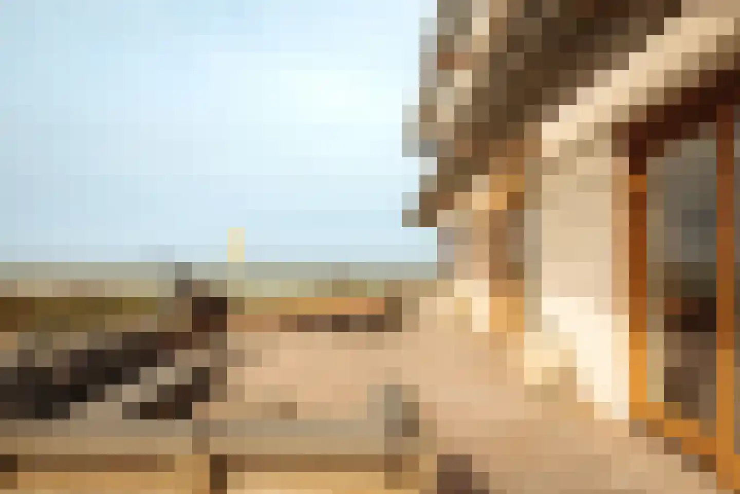Boulevard Paulus Loot 103 Zandvoort thumbnail 17